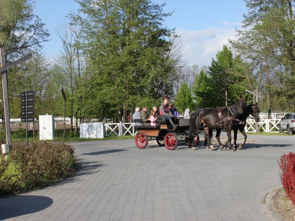 dzień doradcy  (5)