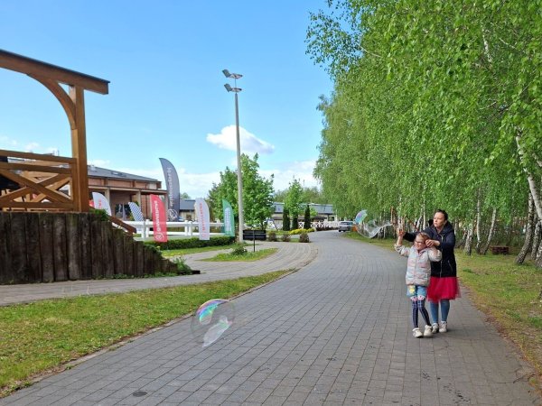 dzień doradcy  (11)
