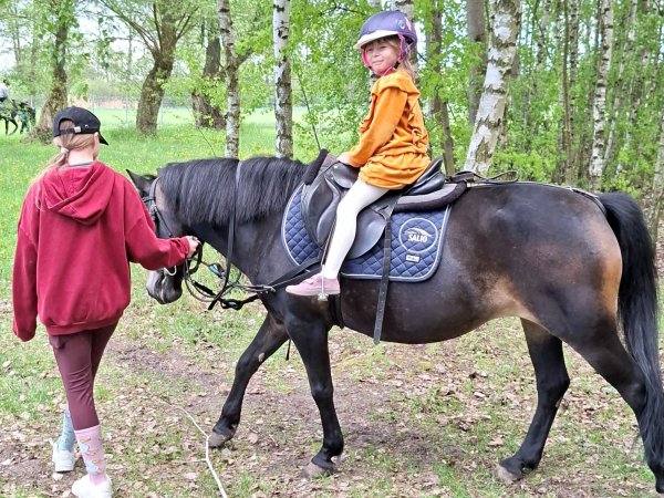 dzień doradcy  (10)