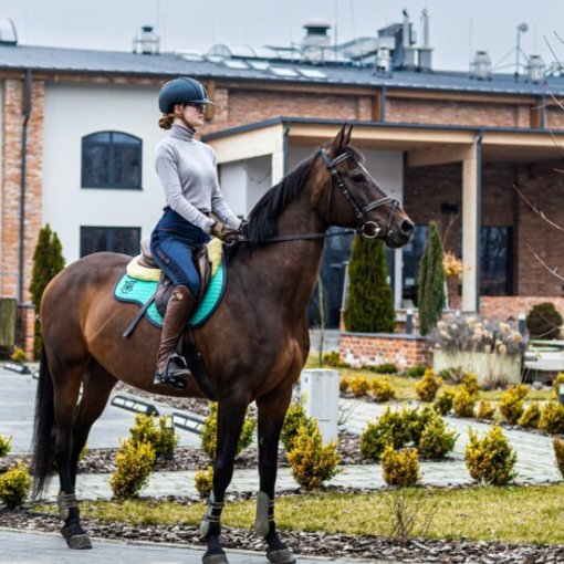 16908881438147_saliohorsesparesortobiekt73